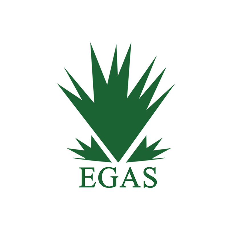 2- EGAS